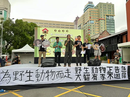 農業部政策無用!野生動物遭犬貓攻擊致死率達8成 千人上街「試辦區禁餵食」