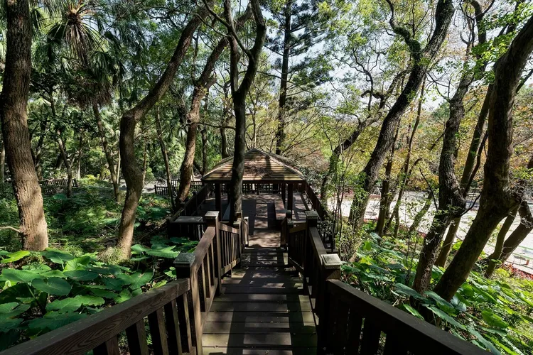 「鵬程豐翠」與佔地約5.5公頃的辭修公園為鄰，猶如隱身在自然中的秘境。