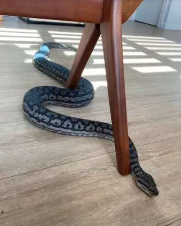 女子在社群發文求助協尋。翻攝臉書