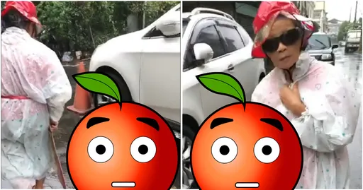 阿嬤養的就是不一樣!「牠」逛大街全場驚奇 網笑:真金孫