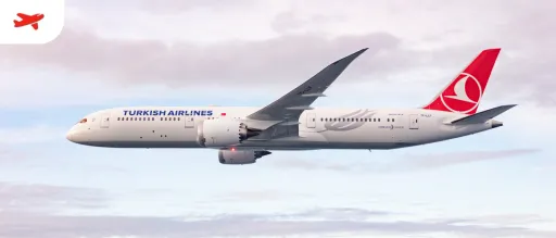 想逛東京?土航客機偏離航道 誤闖市區上空、飛越東京鐵塔