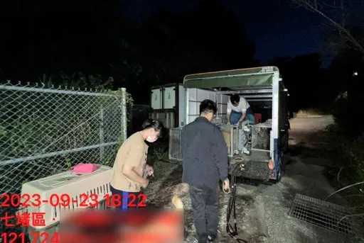 好心載犬貓安置衰遭非議!竹縣動保所深表遺憾 他跳出來還原真相了
