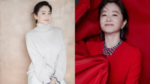 图多｜国宝美女林青霞久违登封　从容优雅美到超越了时间