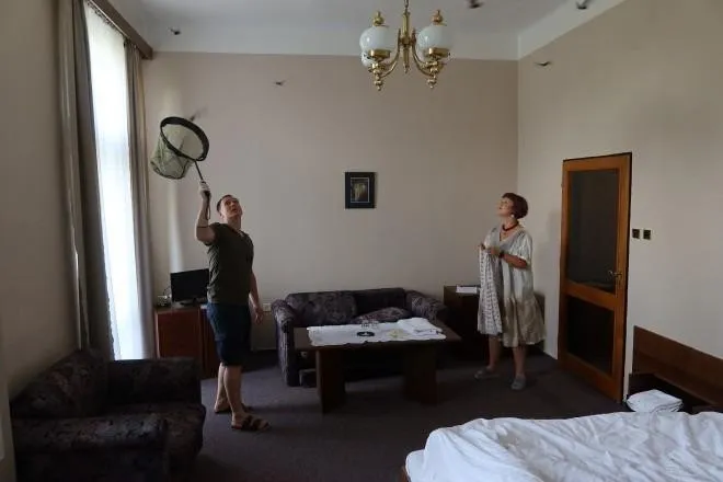 動物救援專家（左）和飯店櫃台人員（右）忙著捕抓入侵的蝙蝠。翻攝荷蘭新聞網站nieuwsblad.be