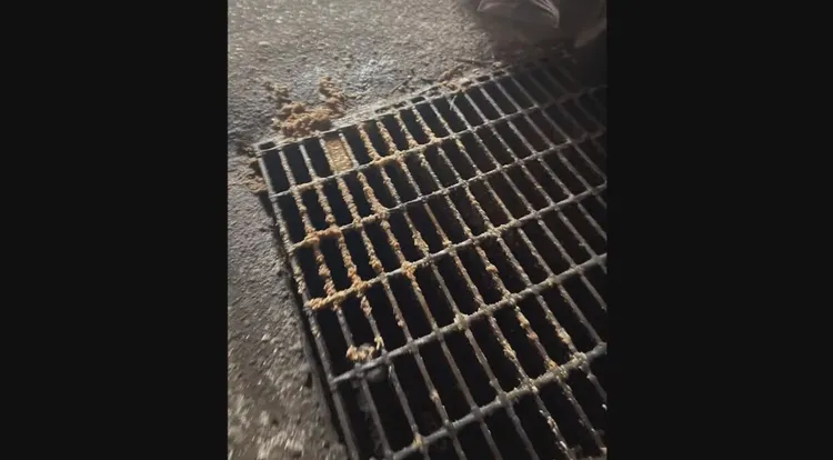 翻攝自YT頻道Toyz