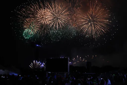 國慶煙火取消無人機表演「涉總統維安」　國安局不坦：未參與討論