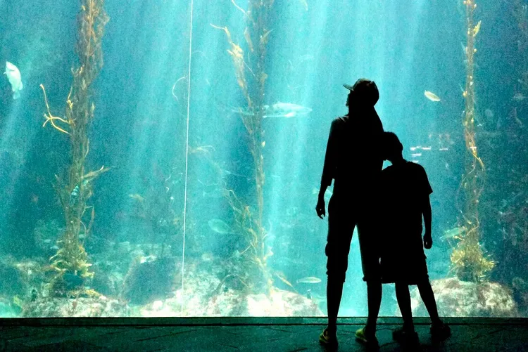 圖為劉子銓童年時與趙小僑合照。翻攝趙小僑臉書