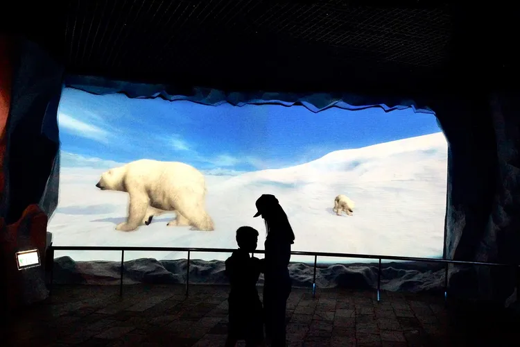 圖為劉子銓童年時與趙小僑合照。翻攝趙小僑臉書