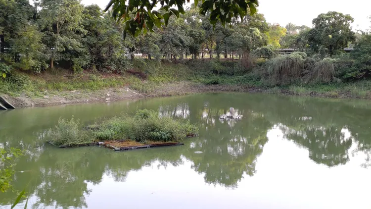 綠能園區內浮島。屏科大提供
