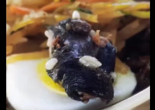 又是鼠頭!中國再有大學餐廳出包 網嘆「吃個飯跟渡劫一樣」