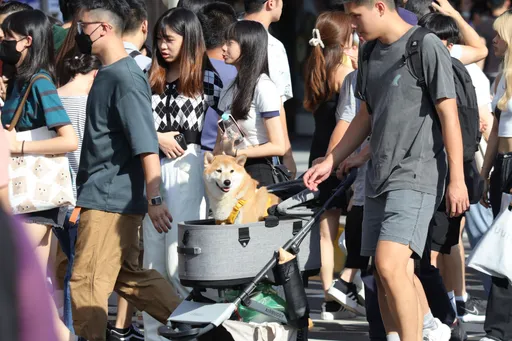 東北季風減弱！明天雨區縮小　中南部飆31℃高溫