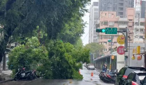 小犬颱風來襲！北市傳首例災情　松山區路樹倒塌