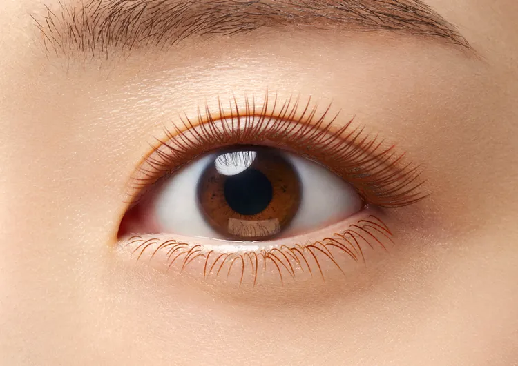 睫采分明立體睫毛膏-可麗露妝感。品牌提供