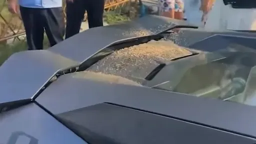 玩沙害家長賠5萬元 8歲兒沙坑竟是「4400萬元藍寶堅尼」