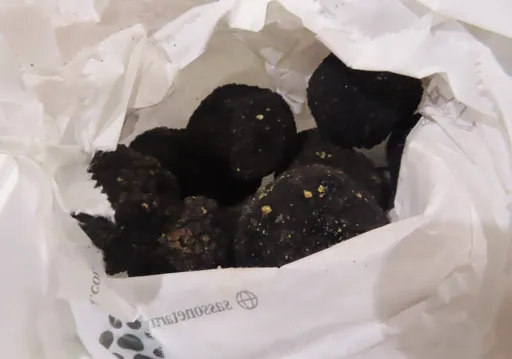 黑松露累積9批出包！重金屬鎘超標　義大利提出改善措施