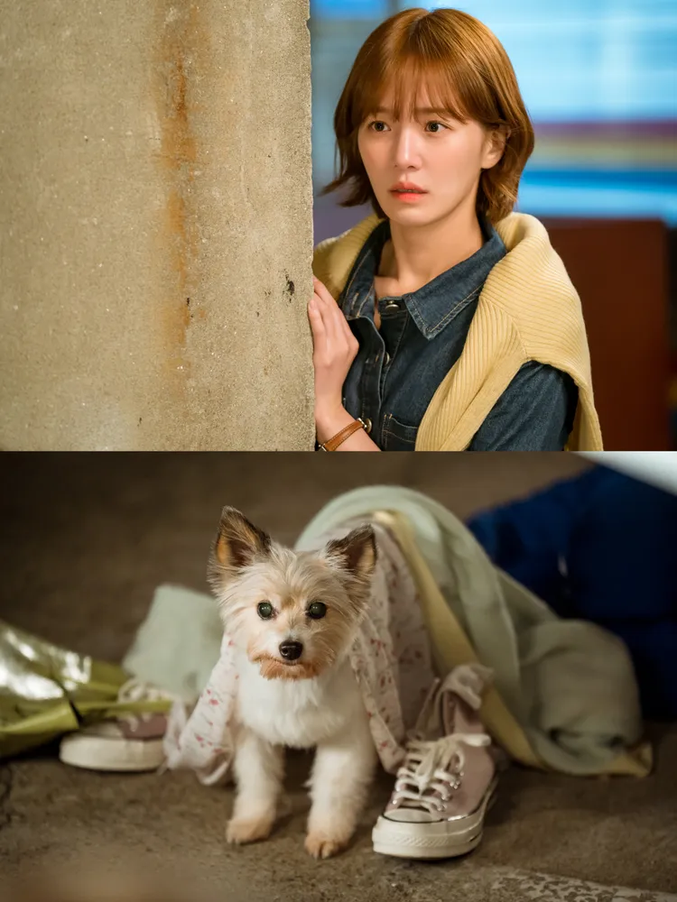 朴圭瑛戲裡因家族詛咒，只要接吻就會變成狗。friDay影音提供