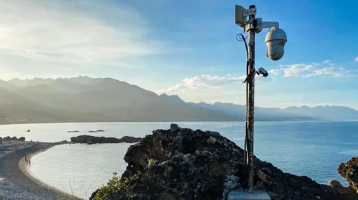 用生命直播一戰成名!三仙台「鏡頭君」回歸首戰小犬 網集氣:有大場面了