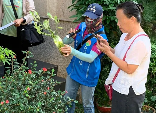 竹縣本土登革熱+4 衛生局呼籲外出落實防蚊、有症狀盡速就醫