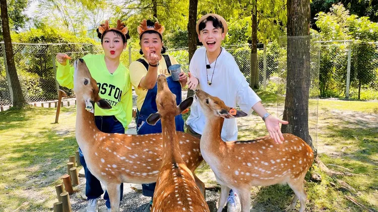 王彩樺肖想篡黃豪平的位置，惹得全場爆笑聲不斷。東森超視提供