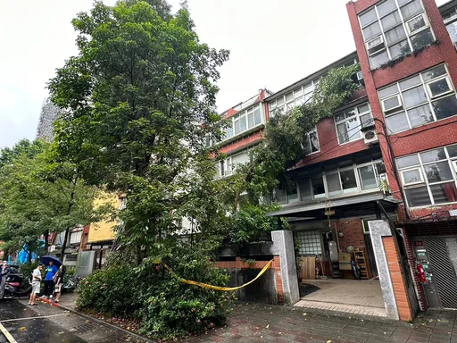 小犬颱風來襲！北市路樹倒塌　3層樓民宅遭砸！窗破牆也損
