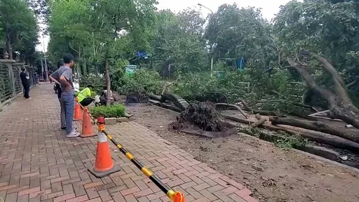 颱風小犬襲台「釀1死304傷」 近33萬戶曾停電
