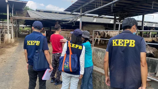 典寶溪上游傳來臭味!環保局查獲禍首開罰 原來是曝曬這玩意