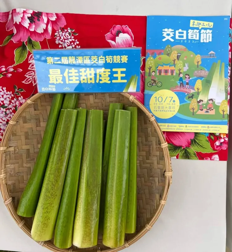 奪得最佳甜度王的茭白筍。桃園市府提供