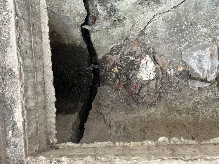 取自市議員陳怡君臉書