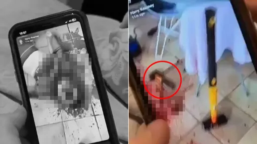 駭人！巨鎚謀殺「把她臉砸到變深洞」　16歲少年行兇後po社群公布成果