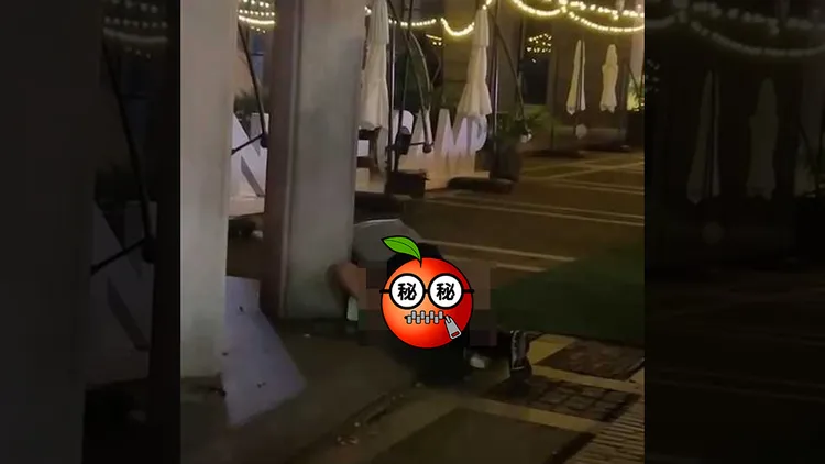 翻攝自網路
