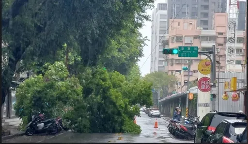 小犬風雨漸歇!北市紅黃線停車 限明早7時前駛離