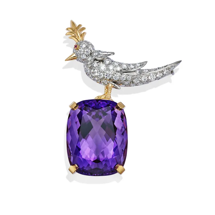 Tiffany & Co. Schlumberger 石上鳥高級珠寶系列紫水晶胸針，約400萬。品牌提供
