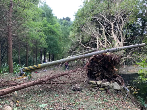 小犬挾11級強陣風襲大台中　1.9萬戶停電！海線受損嚴重