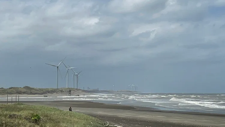 許厝港。張沛森攝