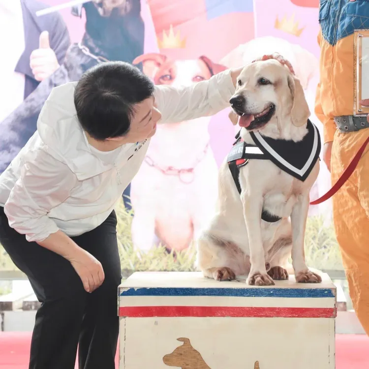 盧秀燕希望牠們找到幸福狗生。翻攝畫面