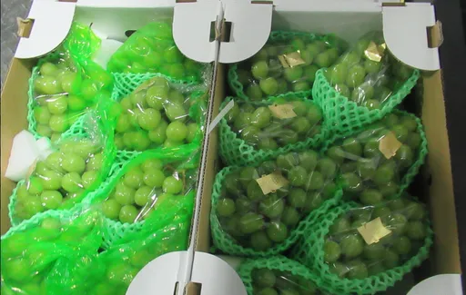 日本進口頂級葡萄驗出殺蟲劑 遭攔截250公斤退運銷毀