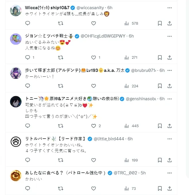 日本網友除了說可愛，也很難找到別的形容詞。翻攝X平台@livedoornews