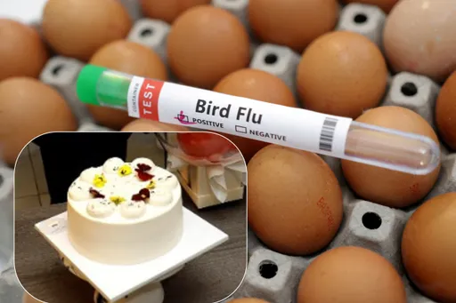 蛋價又要漲?日本禽流感連環爆 餐飲、蛋糕業者憂慮