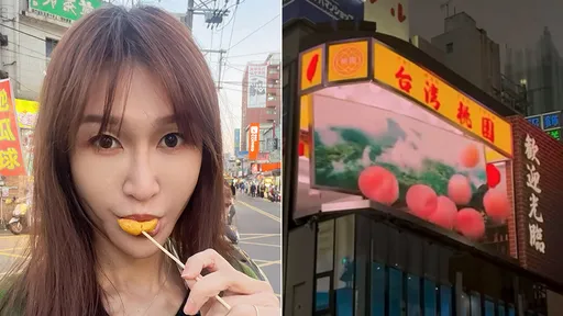 桃園3D廣告之戰　黃瓊慧嗆：禁不起批評就滾回去當張嘉郡老公