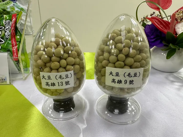 外銷主力以9號為主，盼13號接棒。陳怡文攝