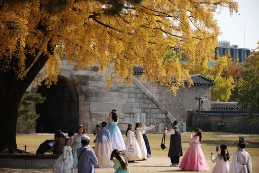 床蝨攻入南韓！全國30起疑似通報　公眾焦慮、政府緊張