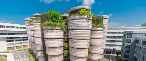 新加坡女偽造大學文憑16年騙5公司 栽在迪士尼手上