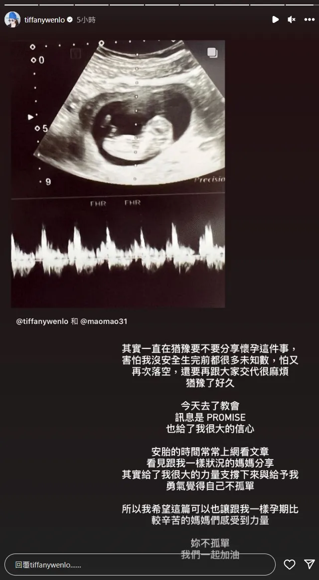 羅雯今天凌晨在限時動態再分享心情，為有相同遭遇的媽媽打氣「妳不孤單」。翻攝羅雯IG