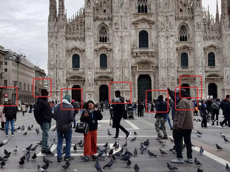 紅圈是扒手和白鴿黨(右4)。金龍旅遊提供