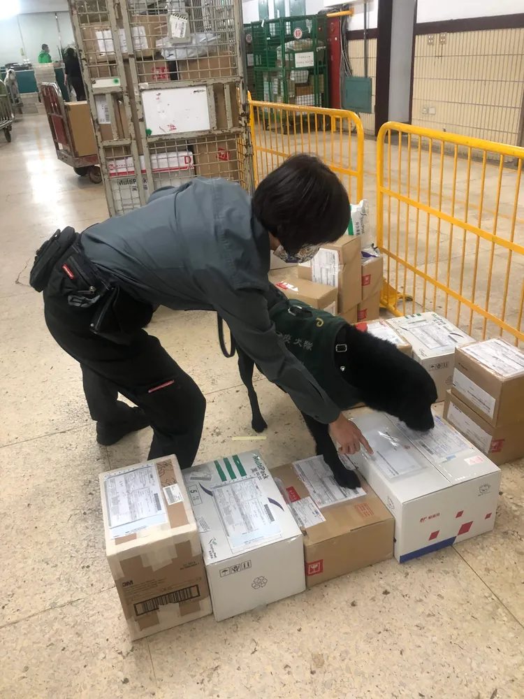 郵包查驗工作。防檢署提供