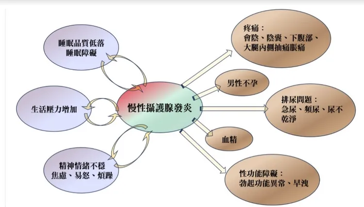 慢性攝護腺發炎可能造成的影響。謝昆霖提供