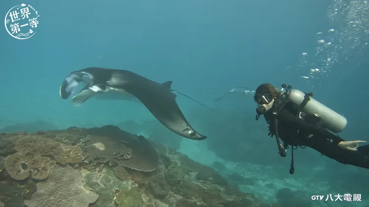 李懿（右）成功解鎖，潛水與魟魚共游 。八大提供