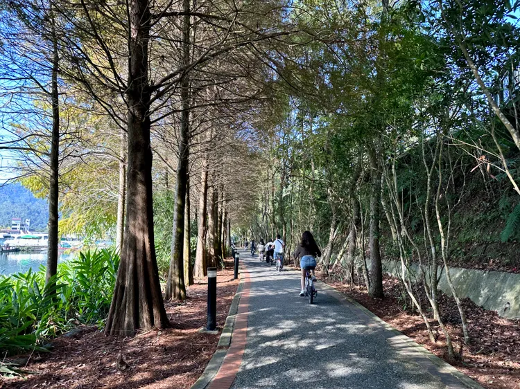 創新旅行社「日月相映」行程，帶旅客在日月潭周邊騎腳踏車。王良博攝