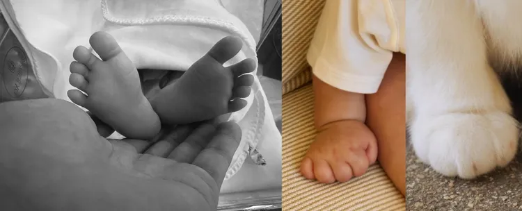 孫藝真不曾公開過兒子正面照，只分享過愛子的小腳和貓掌小手照。翻攝孫藝真IG