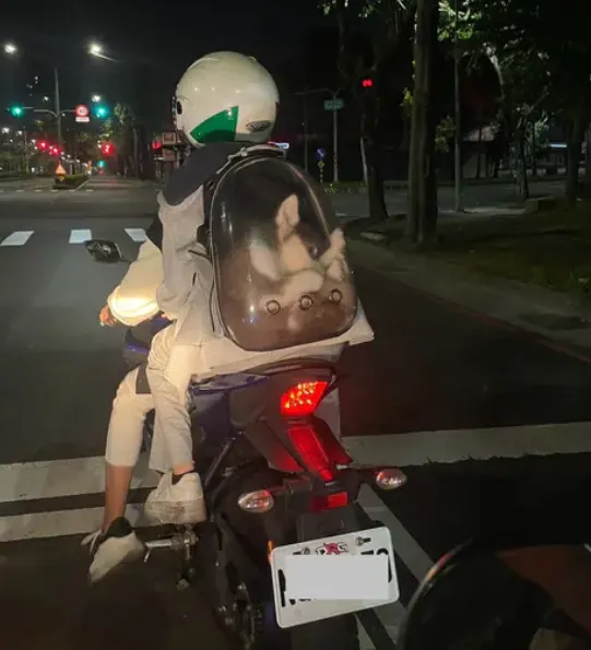 有網友表示，這個人是慣犯，從哈士奇還小就這樣載。翻攝Dcard